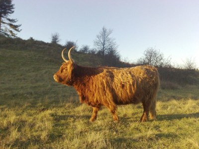 Holiday apartment Welcome to Eden - Environment photo 19