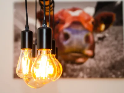 Holiday apartment Kitz Juwel Top 2 - Features photo 7