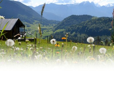 Holiday house Müllers Ferienhaus Salzburgerland - Environment photo 21