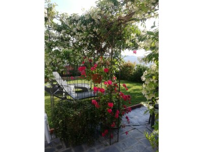 Apartment Olimpia - Outdoor photo 22