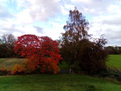 Holiday apartment Hagenah - Outdoor photo 6