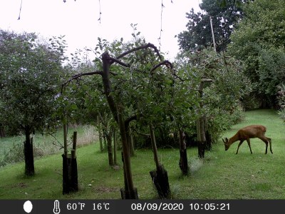 Holiday apartment Hagenah - Outdoor photo 8