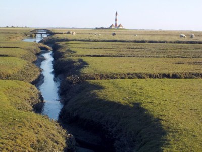 Holiday house Ferienhaus Marga - Environment photo 24