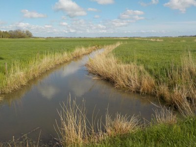 Holiday house Ferienhaus Marga - Environment photo 26