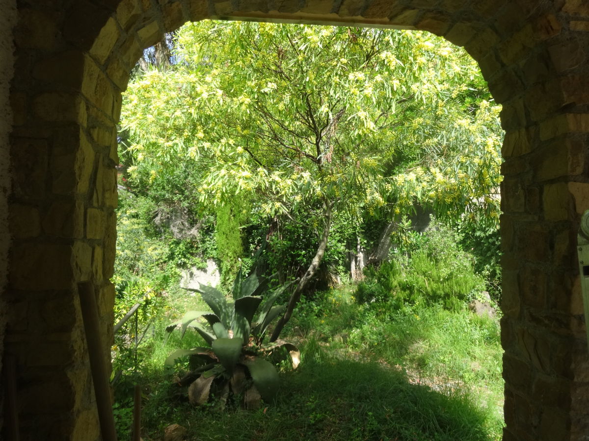 Holiday house Carina 1 - Outdoor photo 5