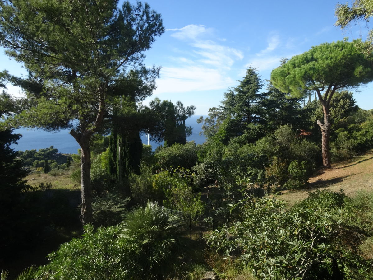 Holiday apartment Carina 2 - Outdoor photo 3