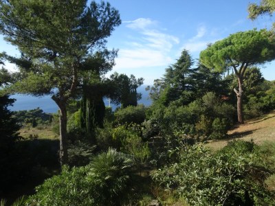 Holiday apartment Carina 2 - Outdoor photo 3