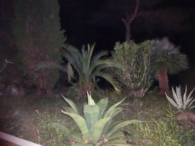 Holiday apartment Carina 2 - Outdoor photo 8