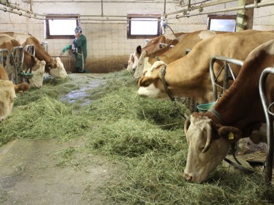 Holiday apartment LÃ¼ch dl Cajer - Holiday Apartment "Col" - Outdoor photo 7