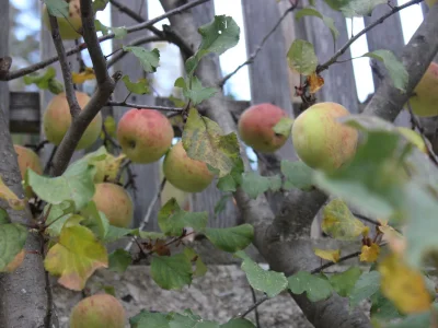 Holiday apartment LÃ¼ch dl Cajer - Holiday Apartment "Col" - Environment photo 18