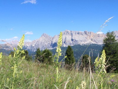 Holiday apartment LÃ¼ch dl Cajer - Holiday Apartment "Col" - Environment photo 20