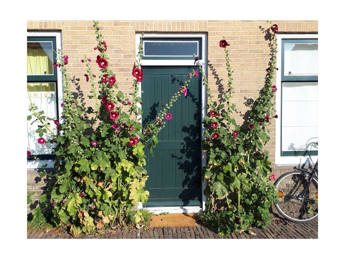 Holiday house Vacation for You and Your Dog - Outdoor photo 3