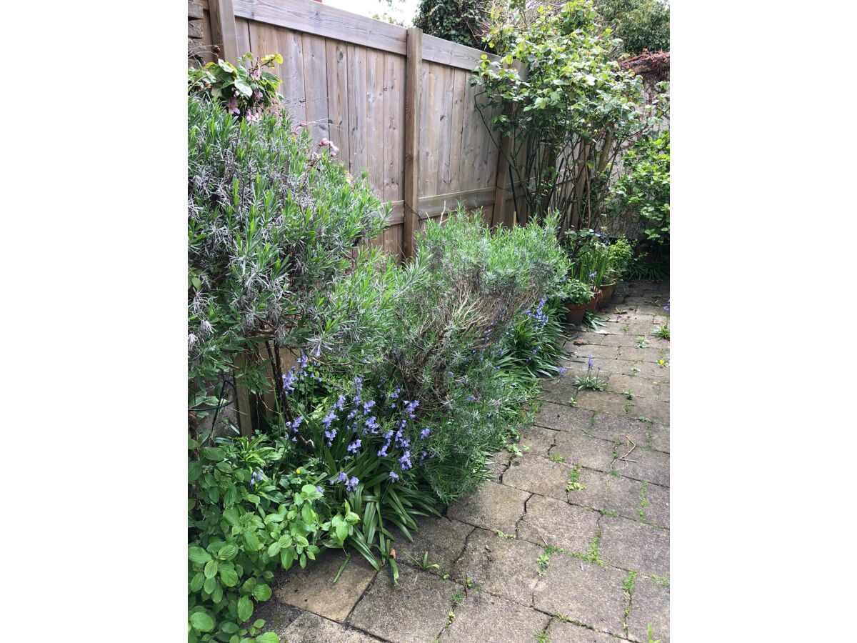 Holiday house Vacation for You and Your Dog - Outdoor photo 5