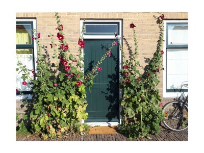 Holiday house Vacation for You and Your Dog - Outdoor photo 3