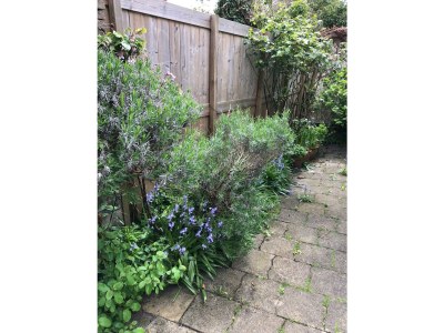 Holiday house Vacation for You and Your Dog - Outdoor photo 5