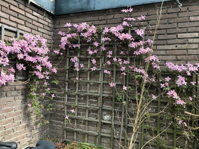 Holiday house Vacation for You and Your Dog - Outdoor photo 6