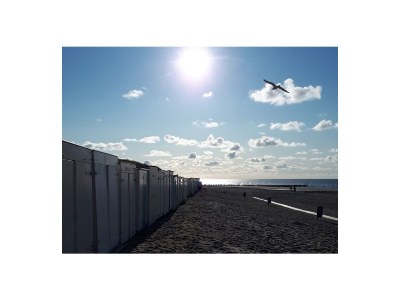 Holiday house Vacation for You and Your Dog - Environment photo 15