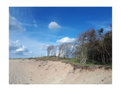 Holiday house Vacation for You and Your Dog - Environment photo 17