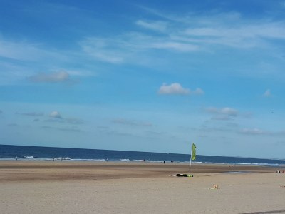 Holiday house Vacation for You and Your Dog - Environment photo 18