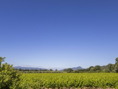Apartment Lou Pavoun - Glycine - Environment photo 22