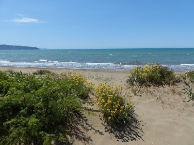 Holiday house Casa Quercia - Environment photo 30