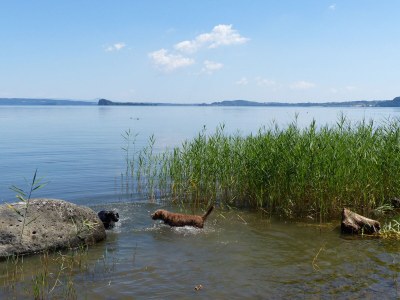 Holiday house Casa Quercia - Environment photo 36