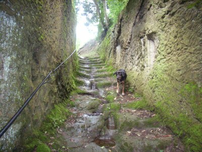 Holiday house Casa Quercia - Environment photo 39