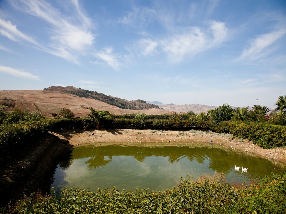 Holiday house Villa in Alia with Pool & Olive Views - Outdoor photo 2