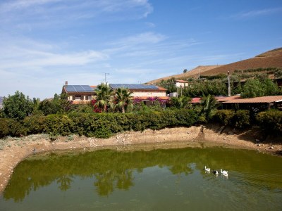 Holiday house Villa in Alia with Pool & Olive Views - Outdoor photo 3