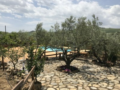 Holiday house Villa in Alia with Pool & Olive Views - Outdoor photo 9