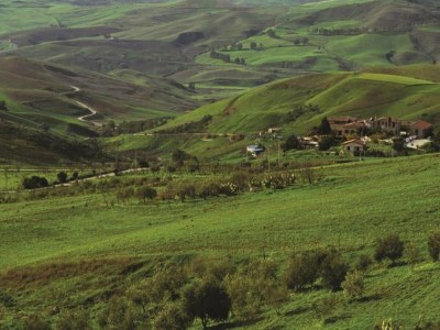 Holiday house Villa in Alia with Pool & Olive Views - Environment photo 24