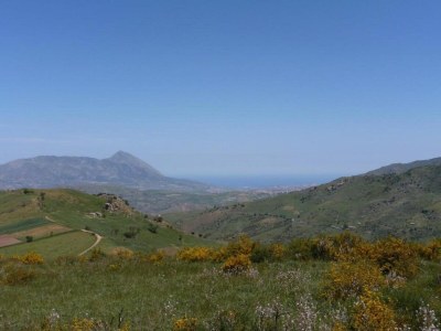 Holiday house Villa in Alia with Pool & Olive Views - Environment photo 25