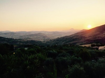 Holiday house Villa in Alia with Pool & Olive Views - Environment photo 26
