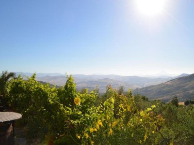 Holiday house Villa in Alia with Pool & Olive Views - Environment photo 27