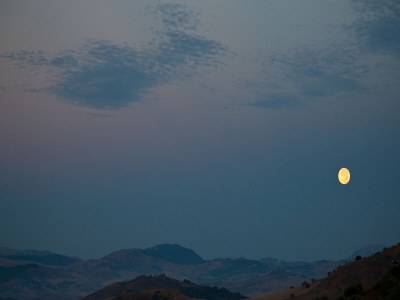 Holiday house Villa in Alia with Pool & Olive Views - Outdoor photo 36