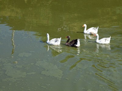 Holiday house Villa in Alia with Pool & Olive Views - Outdoor photo 37