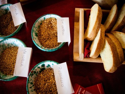 Holiday house Villa in Alia with Pool & Olive Views - Outdoor photo 39