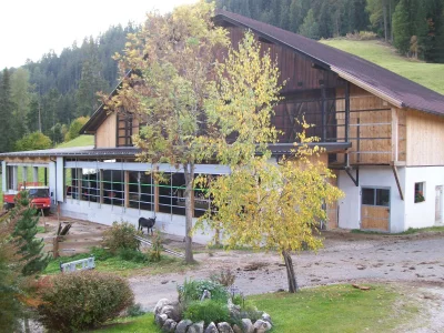 Holiday apartment Arnika - Outdoor photo 3