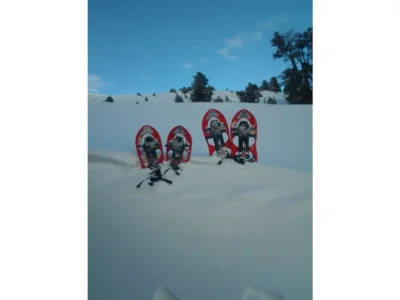 Holiday apartment Arnika - Environment photo 20