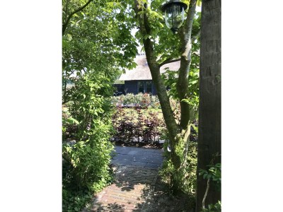 Holiday apartment Salt and Dunes - Outdoor photo 3