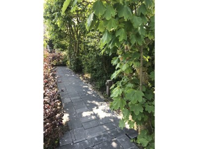 Holiday apartment Salt and Dunes - Outdoor photo 5