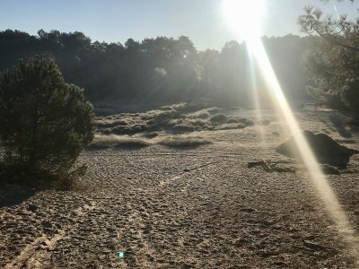 Holiday apartment Salt and Dunes - Environment photo 14