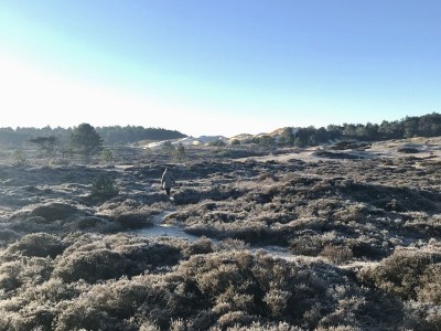Holiday apartment Salt and Dunes - Environment photo 15