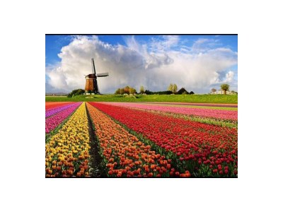 Holiday apartment Salt and Dunes - Environment photo 17