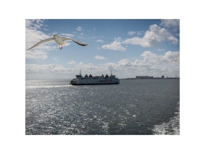 Holiday apartment Salt and Dunes - Environment photo 20