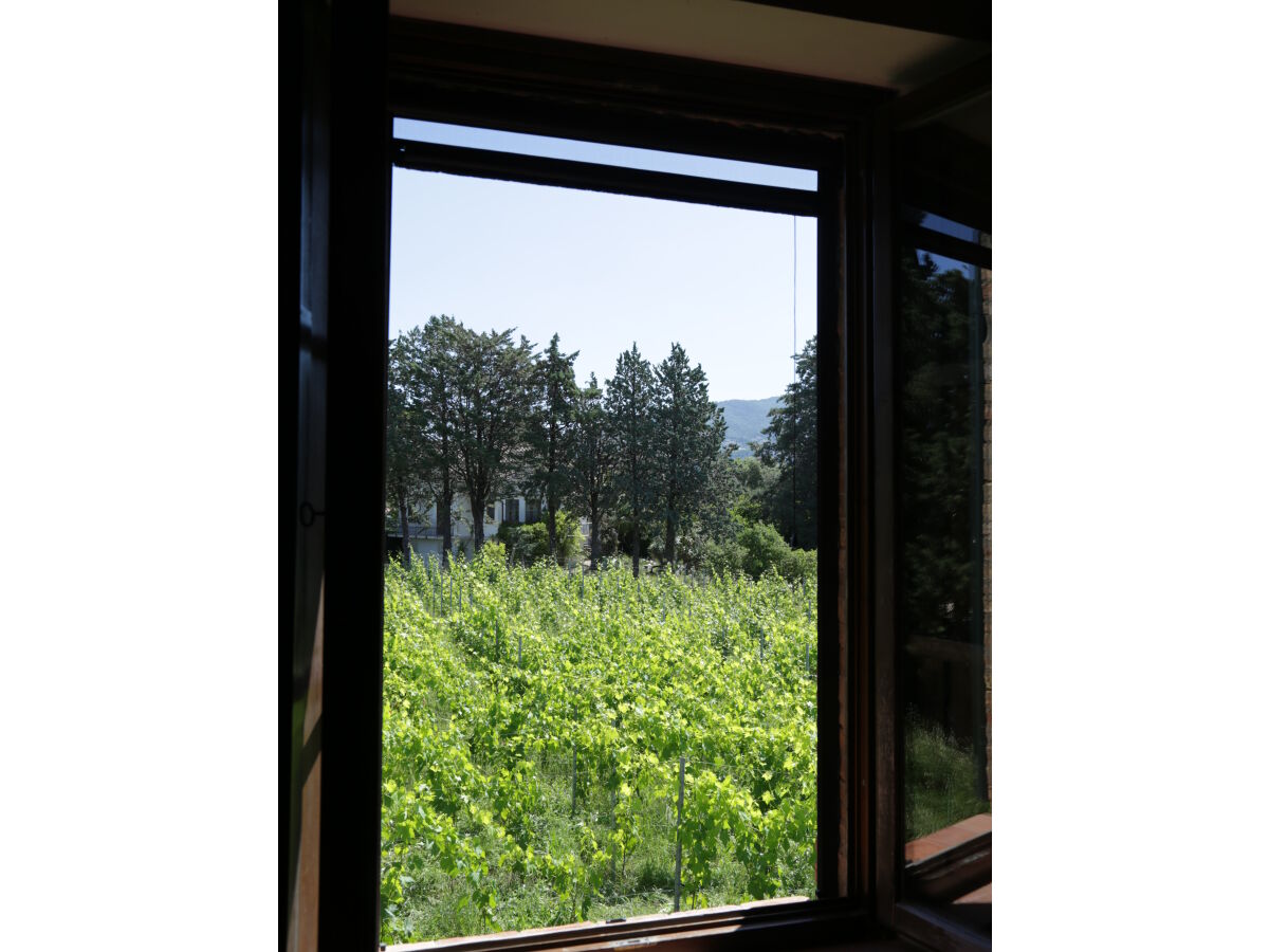 Holiday house Fattoria Aione - Outdoor photo 4