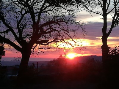 Holiday house Fattoria Aione - Outdoor photo 6