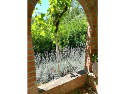 Holiday house Fattoria Aione - Outdoor photo 9