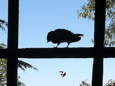 Holiday house Fattoria Aione - Outdoor photo 14