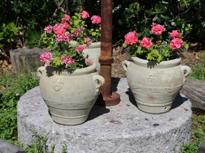 Holiday house Fattoria Aione - Outdoor photo 15